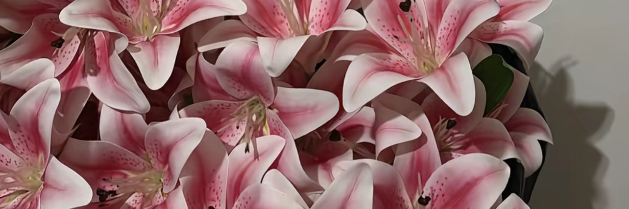 Binta 🙆🏾‍♀️ banner