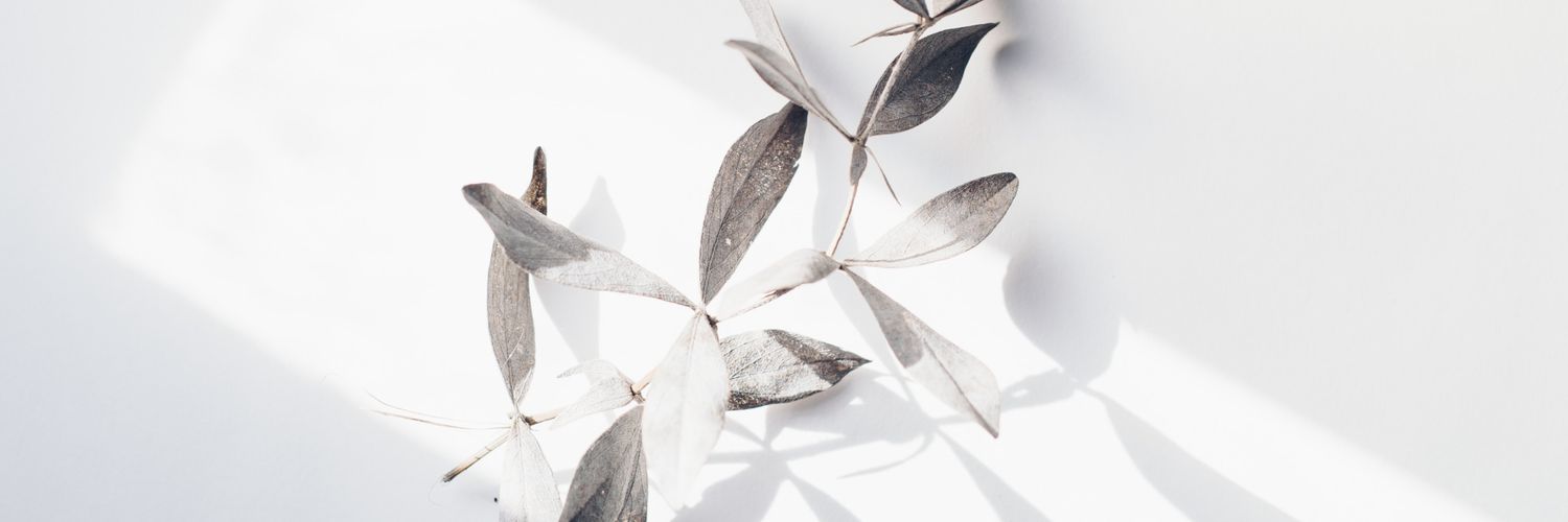 launeyday's profile banner image