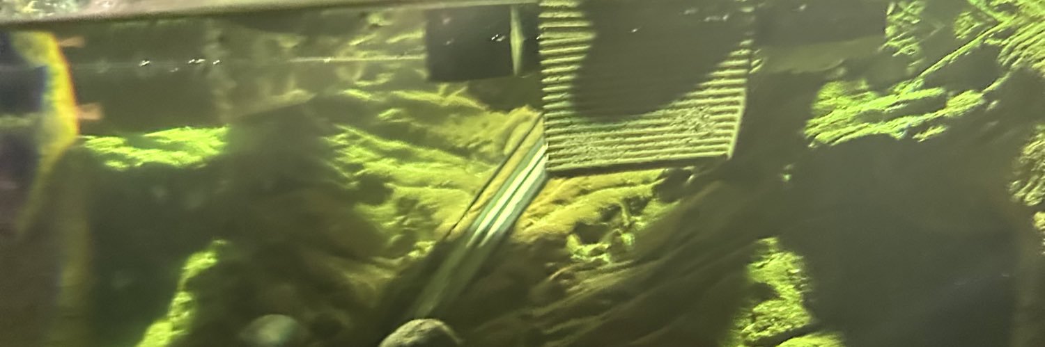 upallcoins's profile banner image