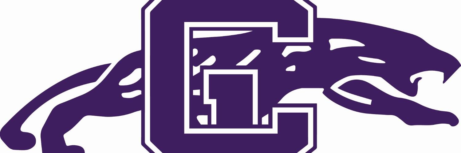 Cypress Lake Athletics banner