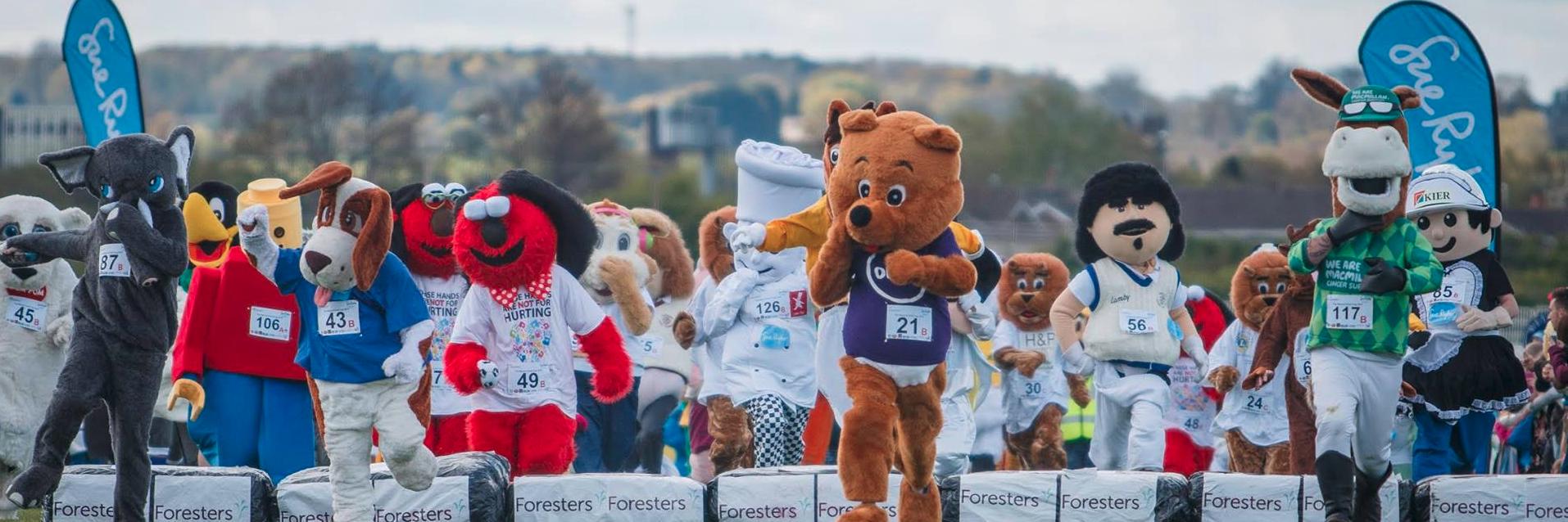 OngoBear's profile banner image