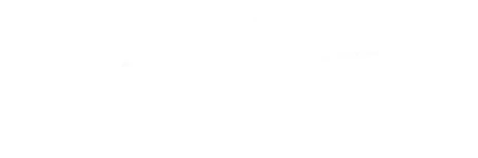 🪱🪽˚✧₊⁎ banner