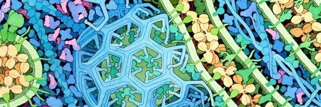 Ivan R. Jaubert banner