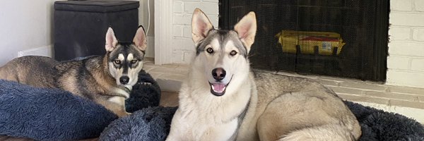 kylejaeger Profile Banner