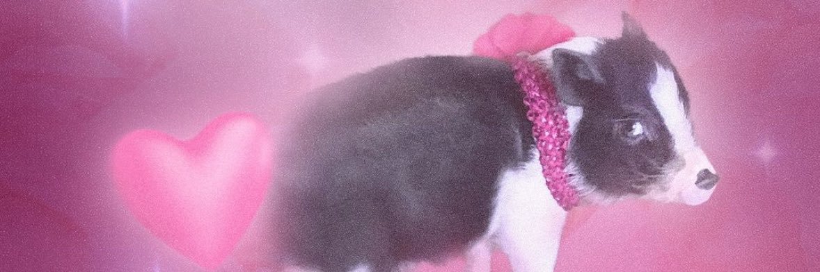 instntdestiny's profile banner image