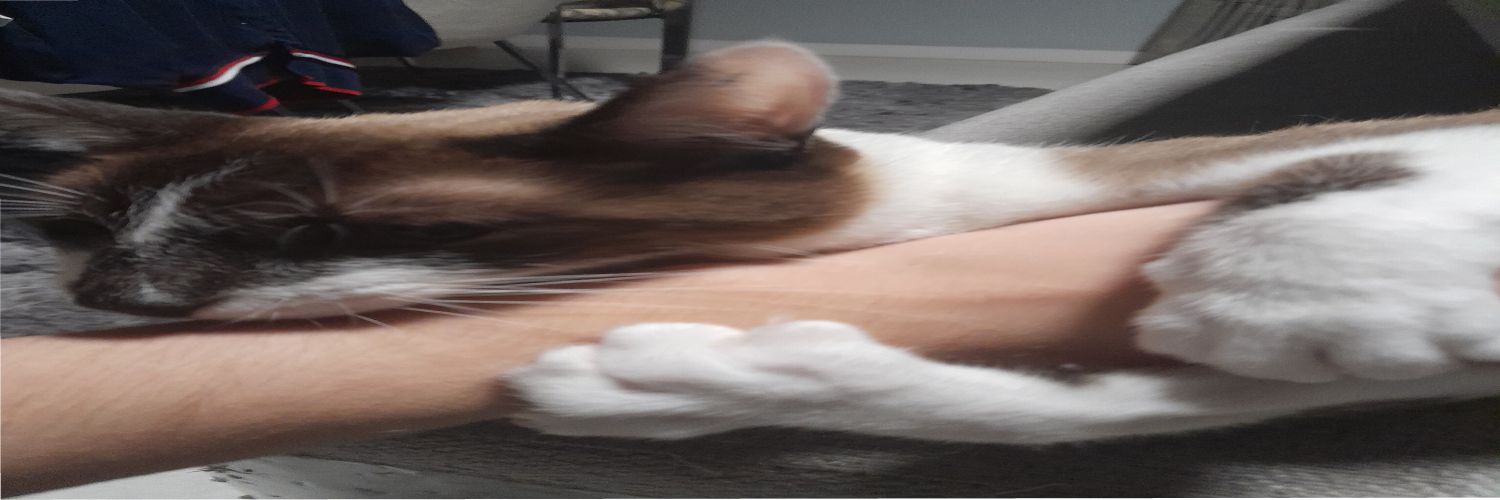 CellbitdaShopee's profile banner image