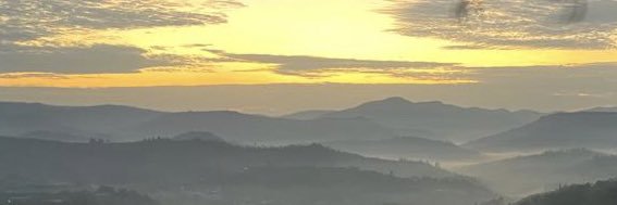 Peter Eilschow Olesen banner