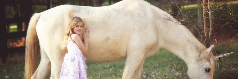 Hogback Mountain Pony Rides banner