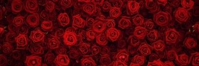 vinyleptic's profile banner image