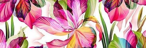 raqueel_ortiz's profile banner image