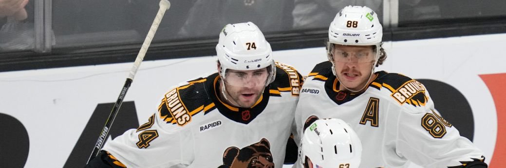 TheBruinsTANK! banner