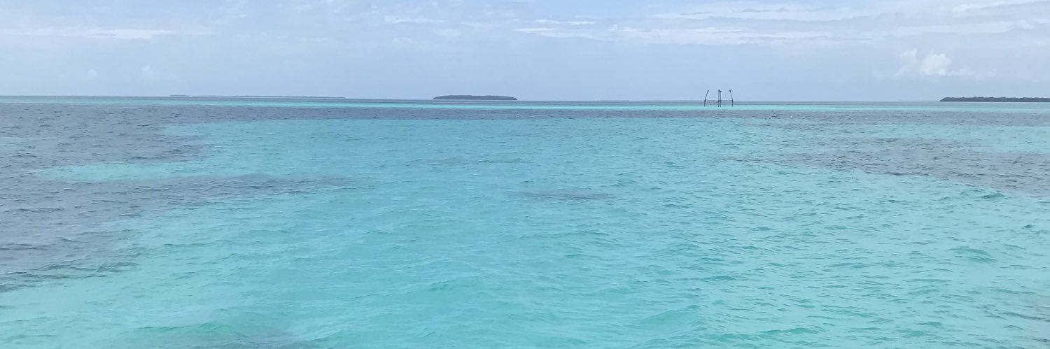 megans8918's profile banner image