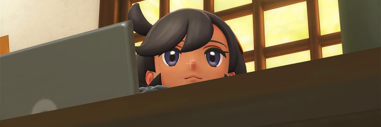 Boat goes binted banner