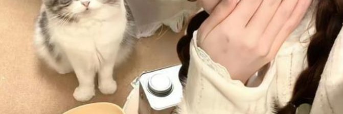 果味仙女℡ banner