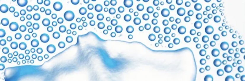 The Liver Foundation banner