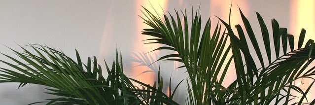 Aubryy_7's profile banner image