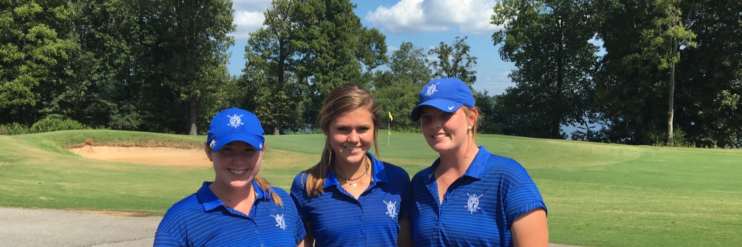 gpsgolfteam's profile banner image