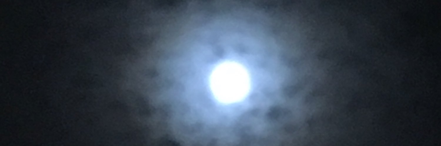 silentsea95's profile banner image