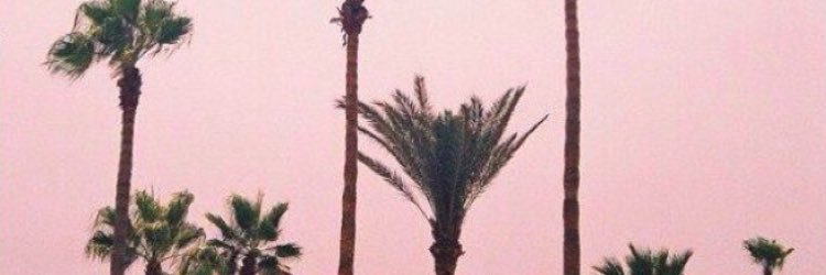 sar__danielle's profile banner image