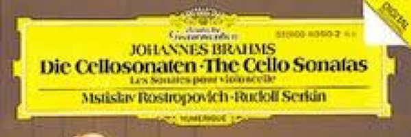 ChifeDr Profile Banner