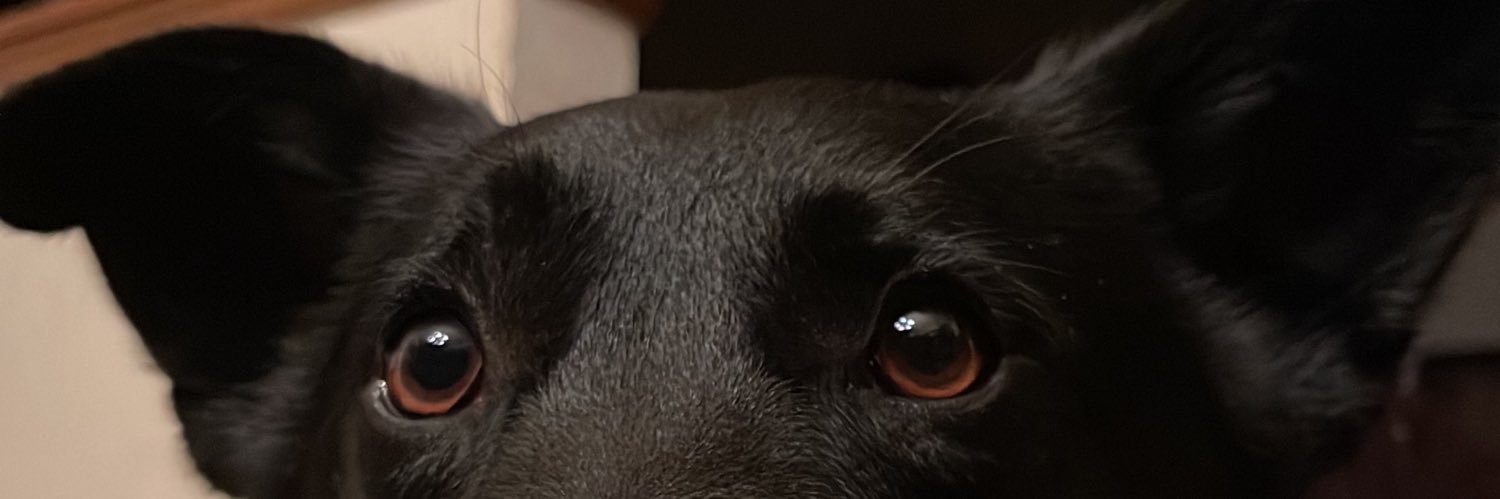 marissasozaaaa's profile banner image