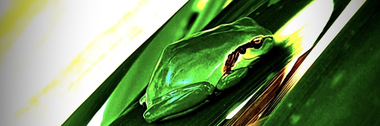 LoowFen's profile banner image