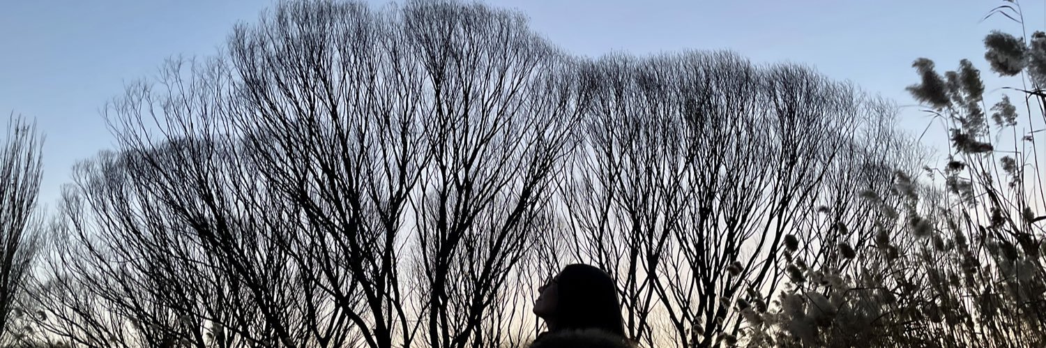karobarrosv's profile banner image