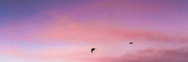 Mzoonnals Profile Banner