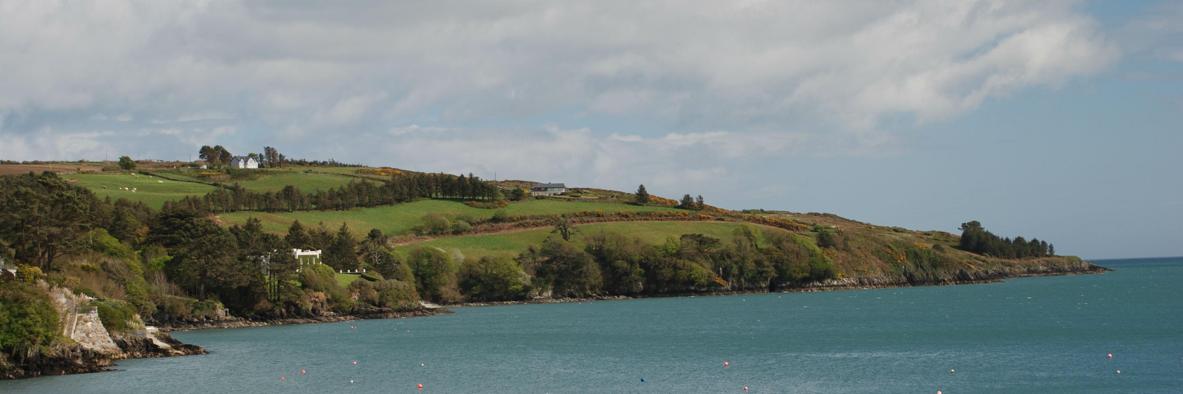 Ian Murphy banner