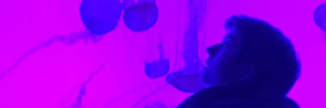 JaredMacDougall's profile banner image