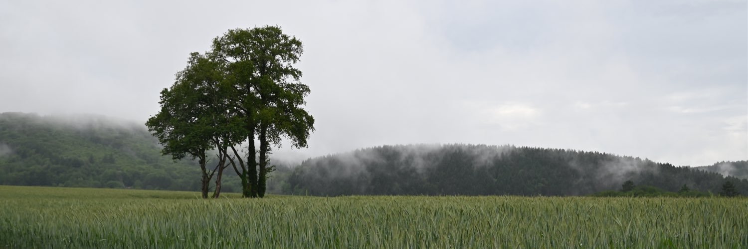 Jean-Marcelin Cesbron banner