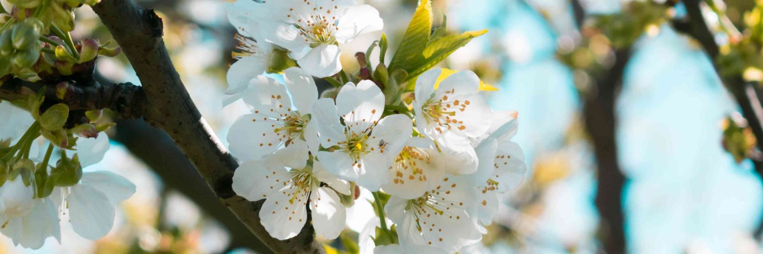 emma starletto Pornhub Tube sexy Sexy Beautiful (@CristinaSimt618