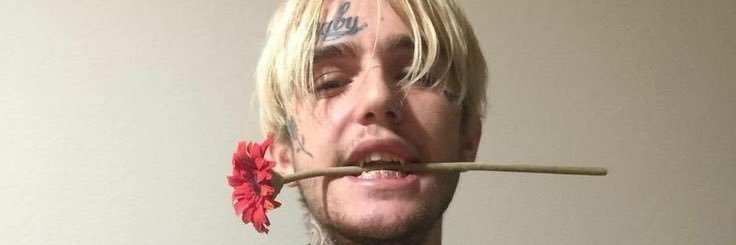 sethlay_'s profile banner image