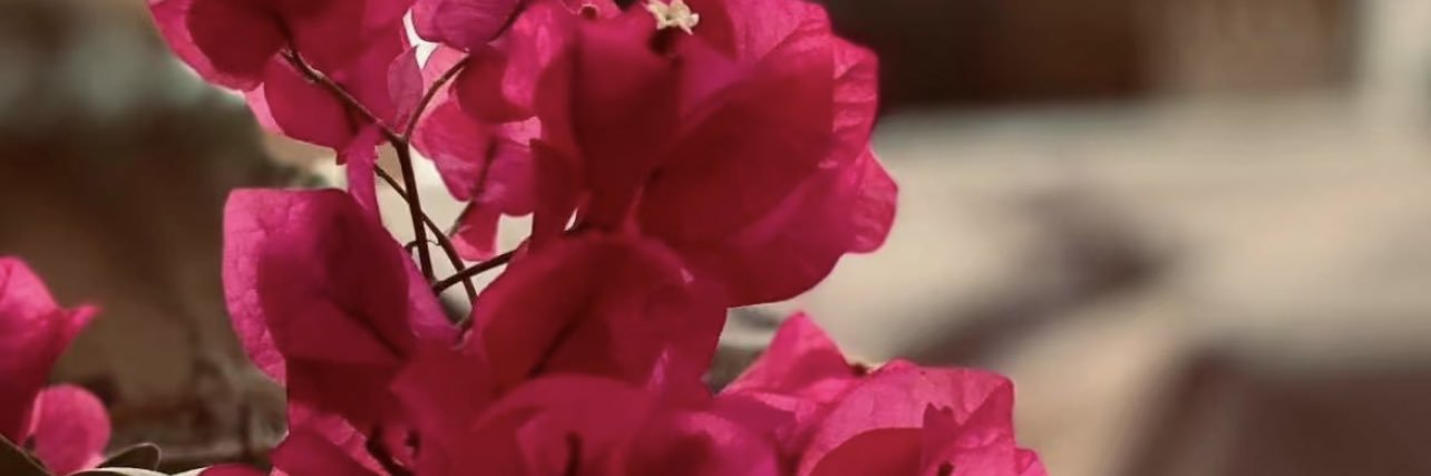 eman_ms36's profile banner image