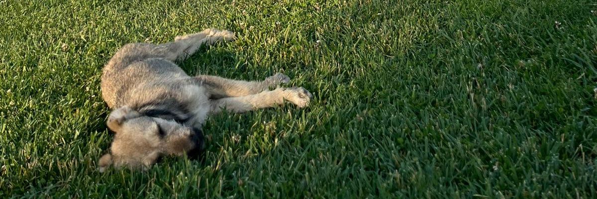 beerff_b's profile banner image