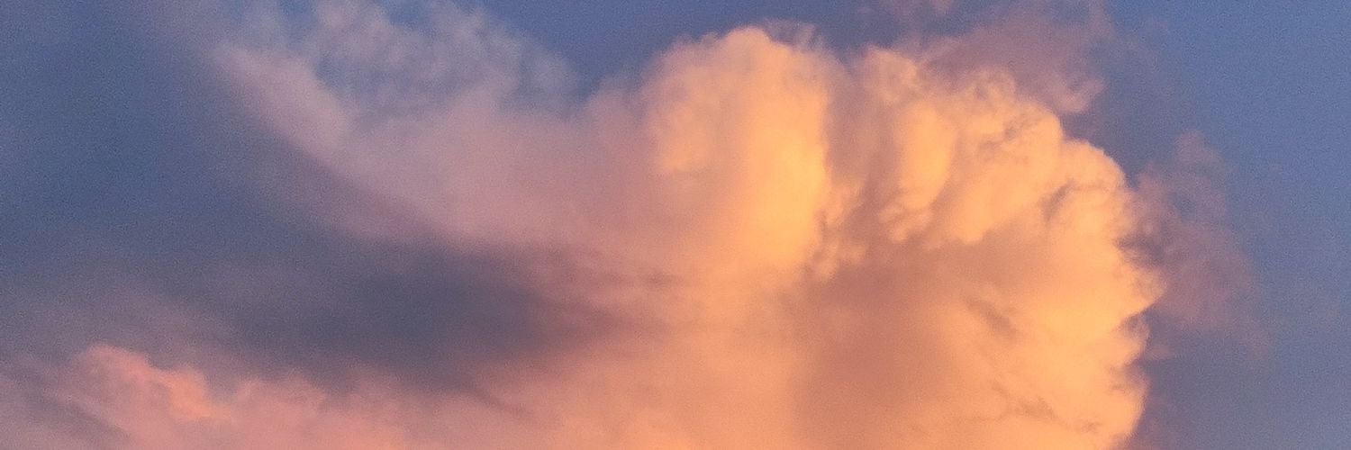 falevaro's profile banner image