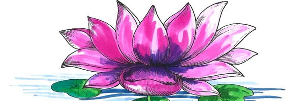 setupwallspys Profile Banner