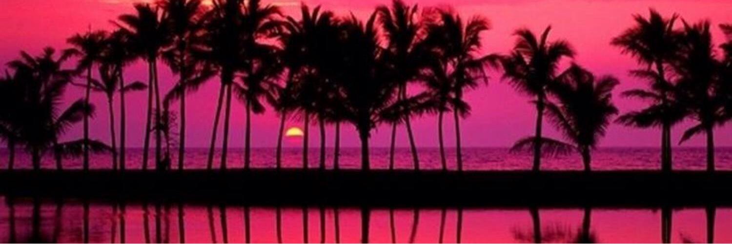 Nikitarace's profile banner image