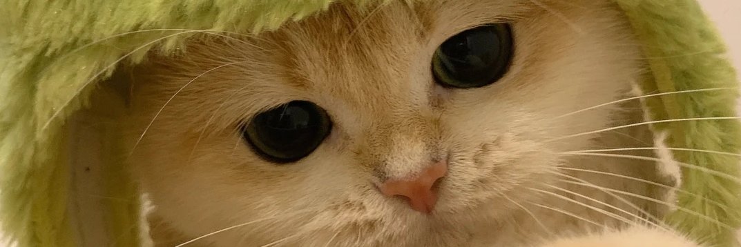 yufenga123's profile banner image