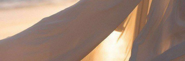 Dilnoza banner