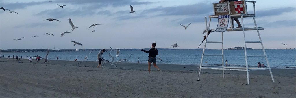 adubs17's profile banner image