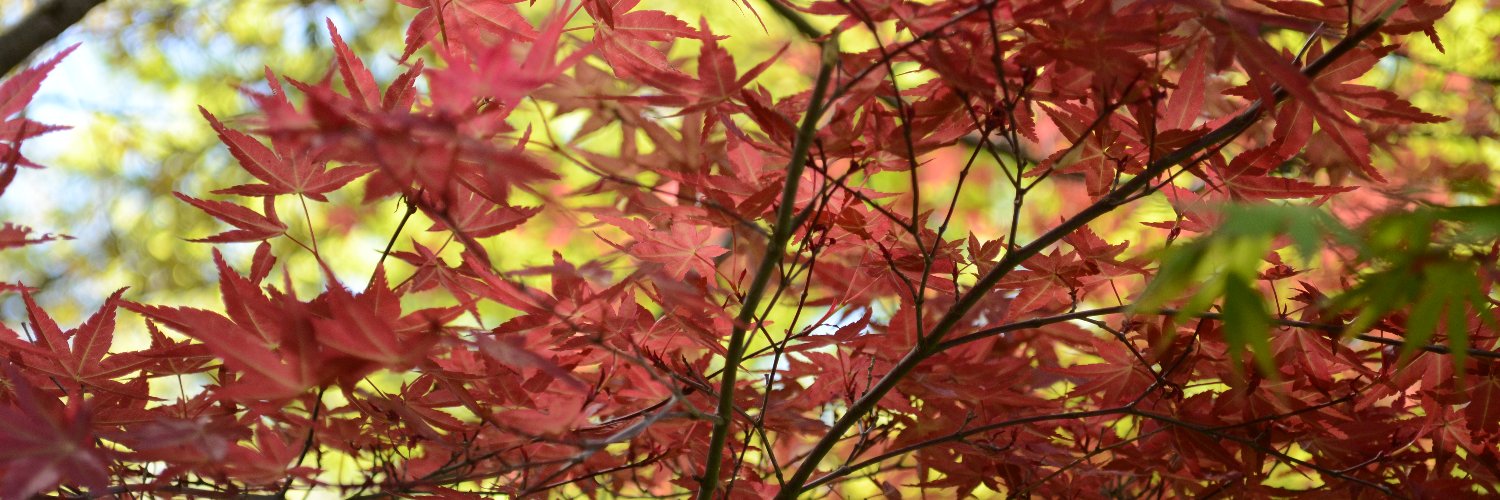 clara_jam_'s profile banner image