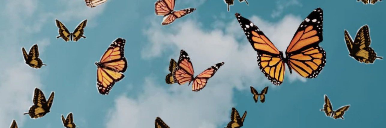 KaileyOSullivan's profile banner image