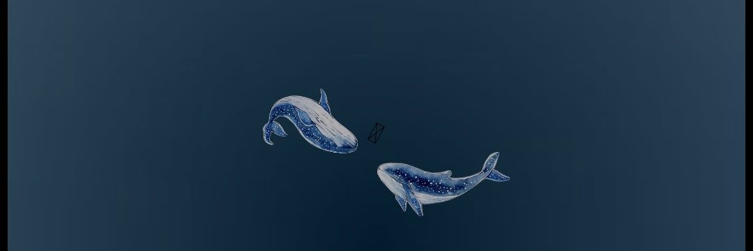 ayışığı 🪻 banner