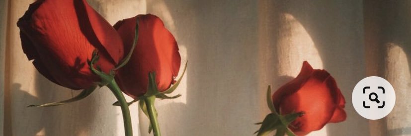 dreamingtom's profile banner image
