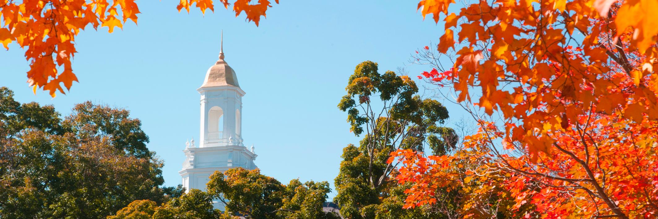 UConn Grad School banner