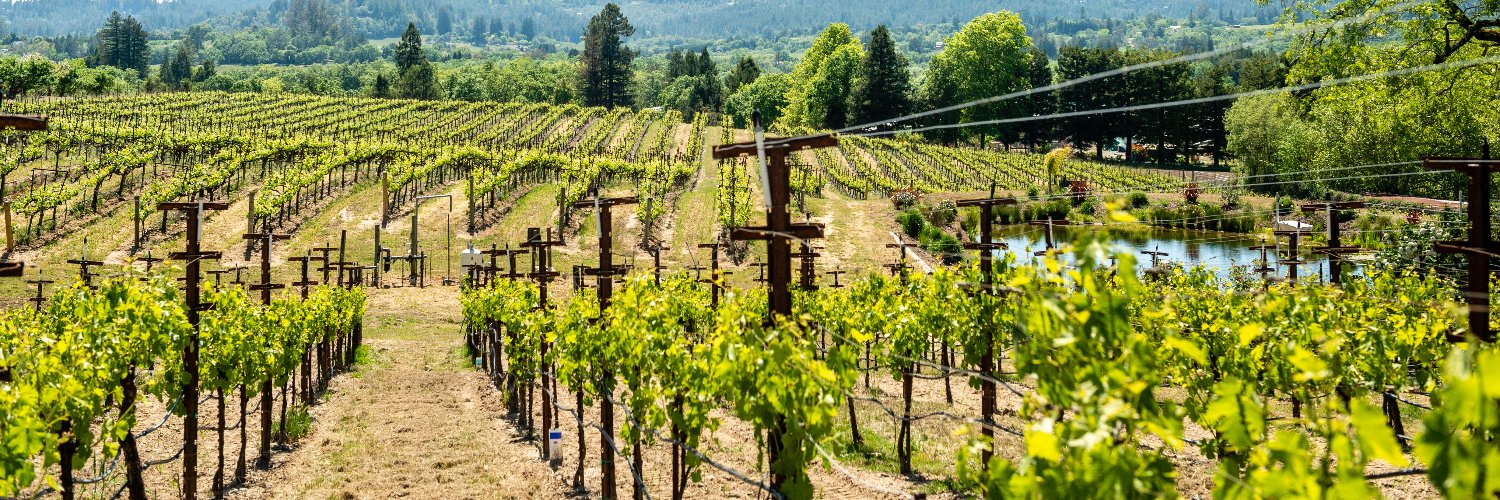 Kobler Estate Winery banner