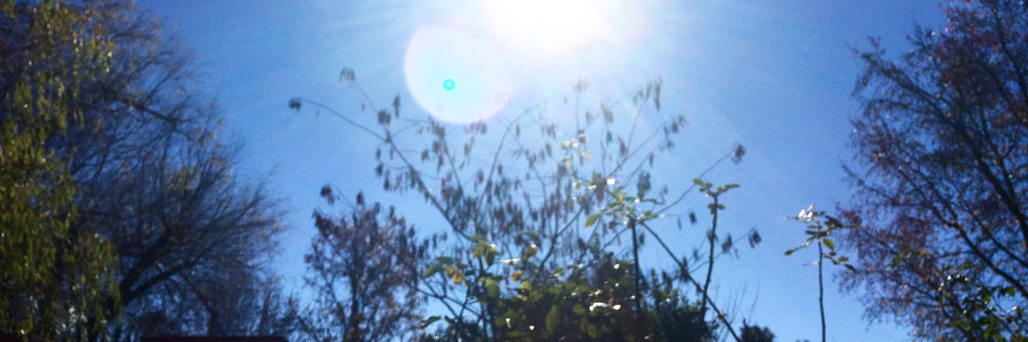 MarianaBad's profile banner image