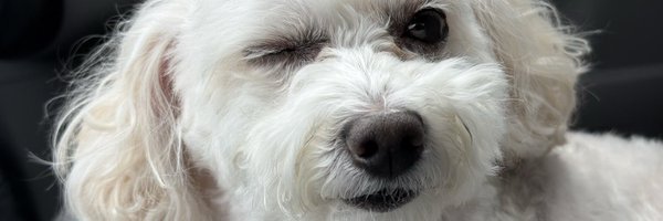 BeastModeManny Profile Banner