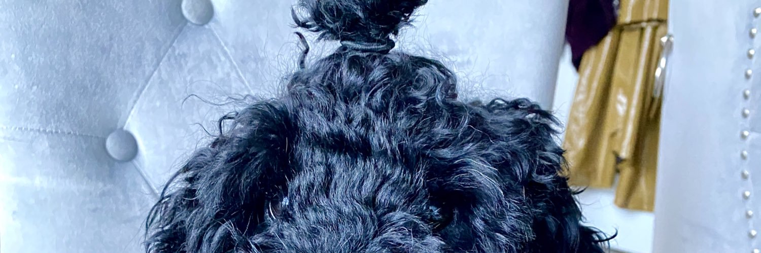 LeSandraTweets's profile banner image